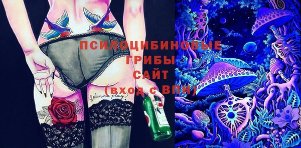 спиды Медногорск